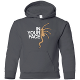 Sweatshirts Charcoal / YS IN YOUR FACE Youth Hoodie