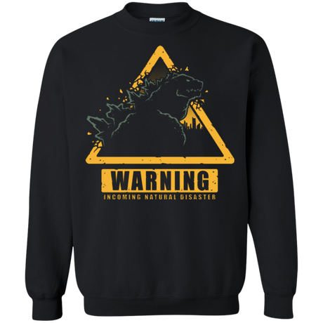 Sweatshirts Black / Small Incoming Natural Disaster Crewneck Sweatshirt