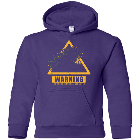 Sweatshirts Purple / YS Incoming Natural Disaster Youth Hoodie