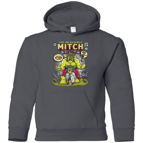 Sweatshirts Charcoal / YS Incredible Mitch Youth Hoodie