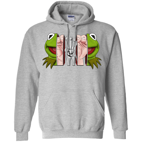 Sweatshirts Sport Grey / S Inside the Frog Pullover Hoodie