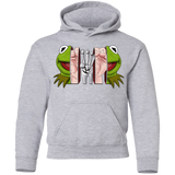 Sweatshirts Sport Grey / YS Inside the Frog Youth Hoodie