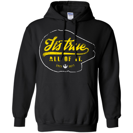 Sweatshirts Black / S Its True Pullover Hoodie