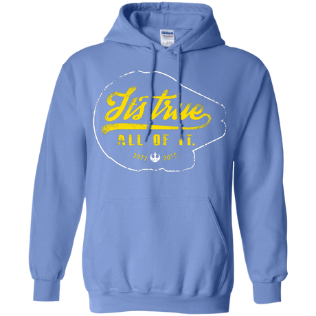 Sweatshirts Carolina Blue / S Its True Pullover Hoodie