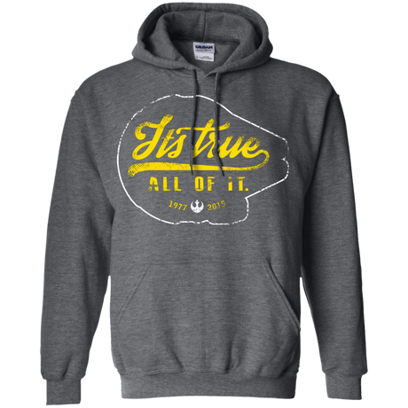Sweatshirts Dark Heather / S Its True Pullover Hoodie