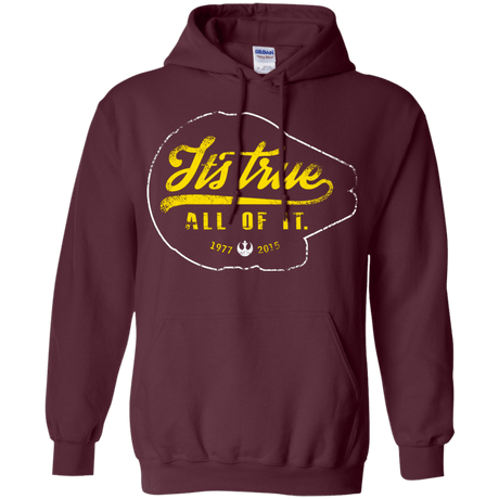 Sweatshirts Maroon / S Its True Pullover Hoodie