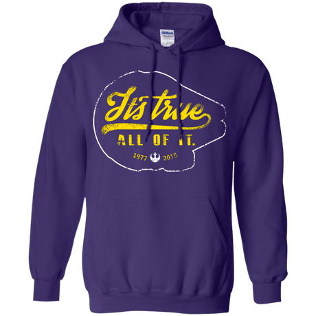 Sweatshirts Purple / S Its True Pullover Hoodie