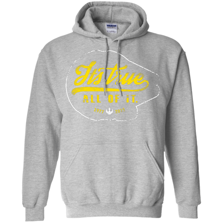 Sweatshirts Sport Grey / S Its True Pullover Hoodie