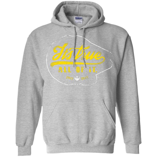 Sweatshirts Sport Grey / S Its True Pullover Hoodie