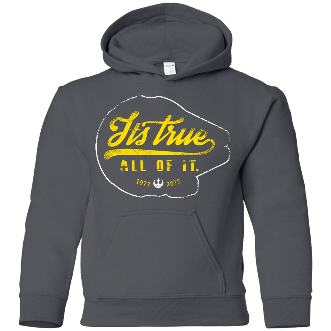 Sweatshirts Charcoal / YS Its True Youth Hoodie