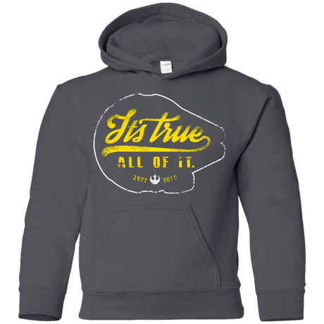 Sweatshirts Charcoal / YS Its True Youth Hoodie