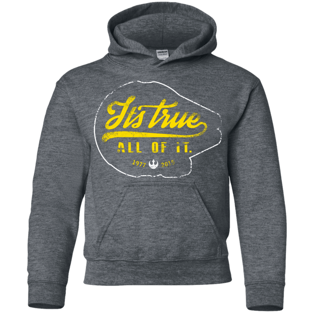 Sweatshirts Dark Heather / YS Its True Youth Hoodie