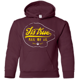 Sweatshirts Maroon / YS Its True Youth Hoodie