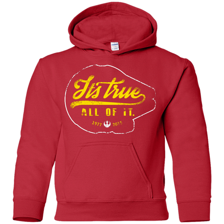 Sweatshirts Red / YS Its True Youth Hoodie