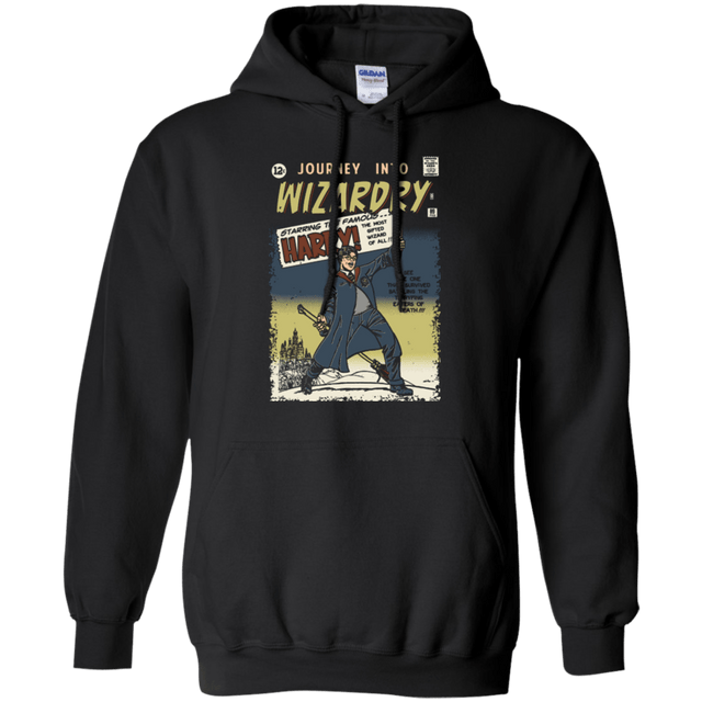 Sweatshirts Black / Small Journey into Wizardry Pullover Hoodie