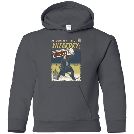 Sweatshirts Charcoal / YS Journey into Wizardry Youth Hoodie