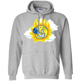 Sweatshirts Sport Grey / S Journey To The Angry Sun Pullover Hoodie