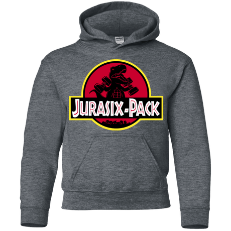 Sweatshirts Dark Heather / YS Jurasix-Pack Youth Hoodie