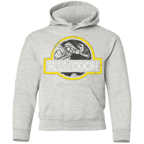 Sweatshirts Ash / YS Jurassic Power Black Youth Hoodie