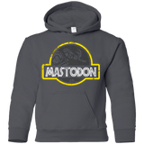 Sweatshirts Charcoal / YS Jurassic Power Black Youth Hoodie