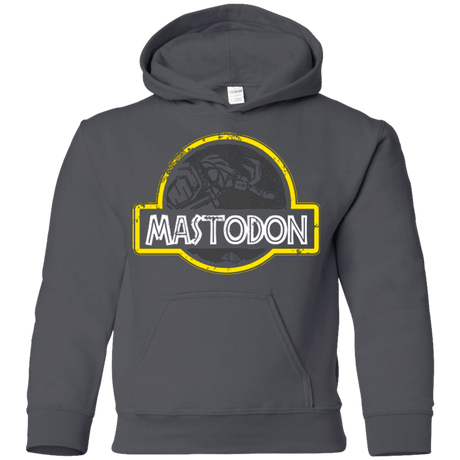 Sweatshirts Charcoal / YS Jurassic Power Black Youth Hoodie