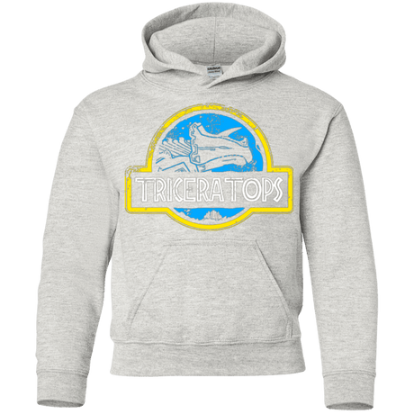 Sweatshirts Ash / YS Jurassic Power Blue Youth Hoodie