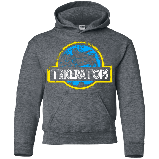 Sweatshirts Dark Heather / YS Jurassic Power Blue Youth Hoodie