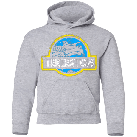 Sweatshirts Sport Grey / YS Jurassic Power Blue Youth Hoodie