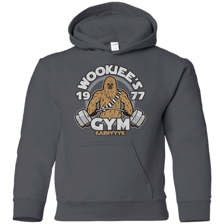 Sweatshirts Charcoal / YS Kashyyyk Gym Youth Hoodie