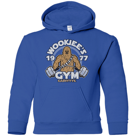 Sweatshirts Royal / YS Kashyyyk Gym Youth Hoodie