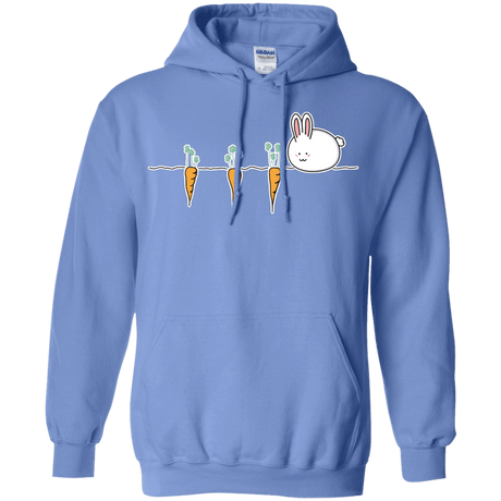 Sweatshirts Carolina Blue / S Kawaii Rabbit and Carrots Pullover Hoodie