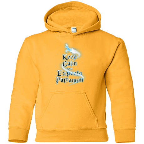 Sweatshirts Gold / YS Keep Calm and Expecto Patronum Youth Hoodie