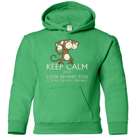 Sweatshirts Irish Green / YS Keep Calm & Look Behind You A Three Headed Monkey Youth Hoodie