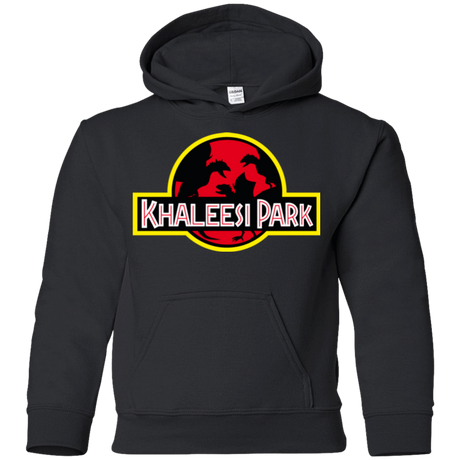 Sweatshirts Black / YS Khaleesi Park Youth Hoodie