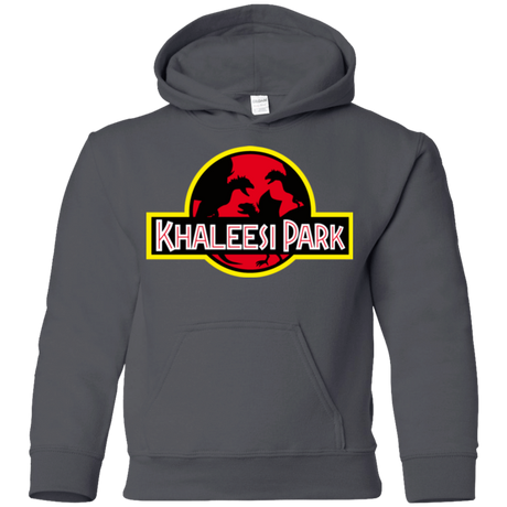 Sweatshirts Charcoal / YS Khaleesi Park Youth Hoodie