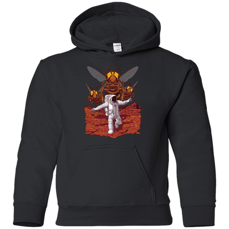 Sweatshirts Black / YS Killer Bees on Mars Youth Hoodie