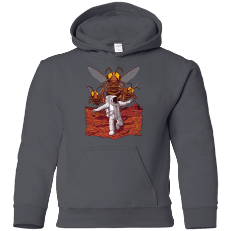 Sweatshirts Charcoal / YS Killer Bees on Mars Youth Hoodie