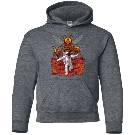 Sweatshirts Dark Heather / YS Killer Bees on Mars Youth Hoodie