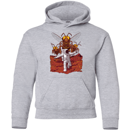 Sweatshirts Sport Grey / YS Killer Bees on Mars Youth Hoodie