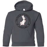 Sweatshirts Charcoal / YS Killer Bunny Youth Hoodie