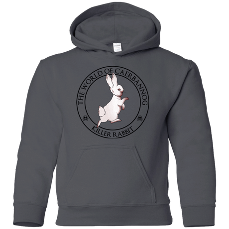 Sweatshirts Charcoal / YS Killer Bunny Youth Hoodie