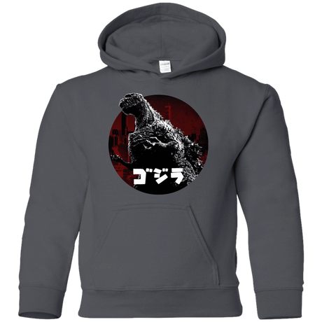 Sweatshirts Charcoal / YS King Of The City Youth Hoodie