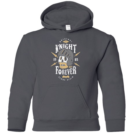 Sweatshirts Charcoal / YS Knight Forever Youth Hoodie