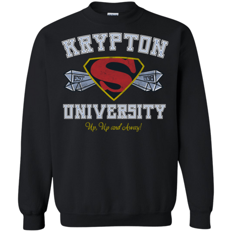Sweatshirts Black / Small Krypton University Crewneck Sweatshirt