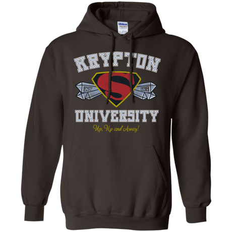 Sweatshirts Dark Chocolate / Small Krypton University Pullover Hoodie
