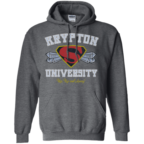 Sweatshirts Dark Heather / Small Krypton University Pullover Hoodie
