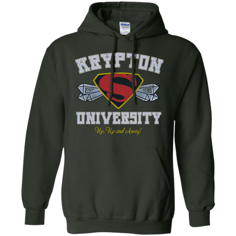 Sweatshirts Forest Green / Small Krypton University Pullover Hoodie