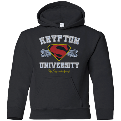 Sweatshirts Black / YS Krypton University Youth Hoodie