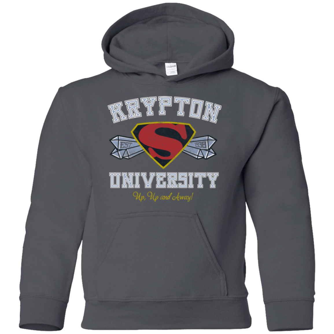 Sweatshirts Charcoal / YS Krypton University Youth Hoodie