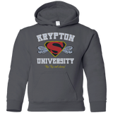 Sweatshirts Charcoal / YS Krypton University Youth Hoodie